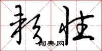 曾庆福软性草书怎么写