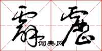 曾庆福霹雳草书怎么写