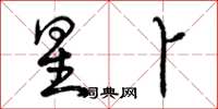曾庆福星卜草书怎么写