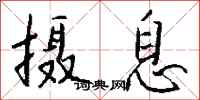 钱沛云摄息行书怎么写