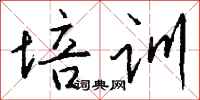 钱沛云培训行书怎么写