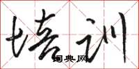 骆恒光培训草书怎么写
