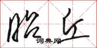 骆恒光昭丘草书怎么写
