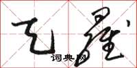 骆恒光天罗草书怎么写