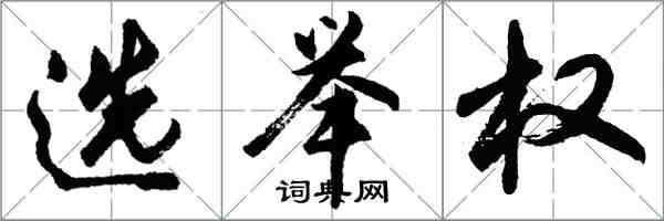 胡问遂选举权行书怎么写