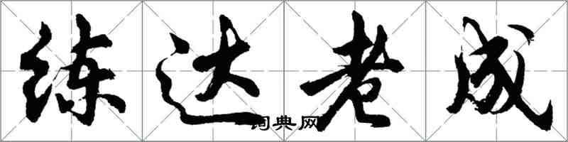 胡问遂练达老成行书怎么写