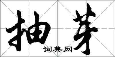 胡问遂抽芽行书怎么写
