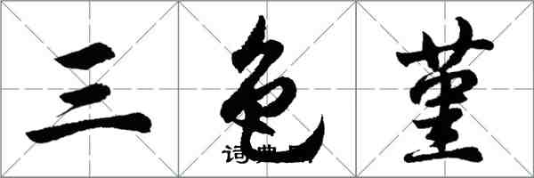 胡问遂三色堇行书怎么写
