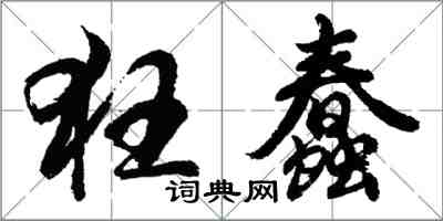 胡问遂狂蠢行书怎么写