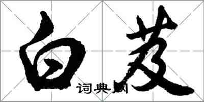 胡问遂白芨行书怎么写