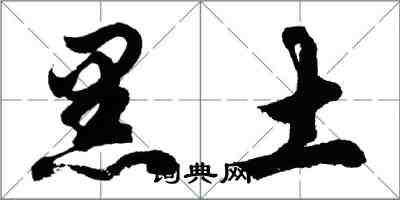 胡问遂黑土行书怎么写