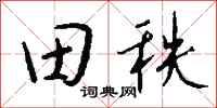 钱沛云田秩行书怎么写