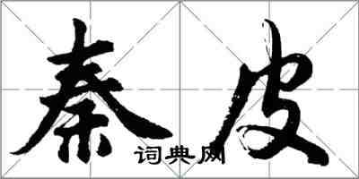 胡问遂秦皮行书怎么写