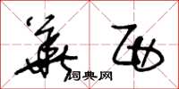 王冬龄华西草书怎么写