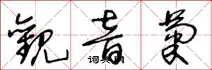 王冬龄观音菊草书怎么写
