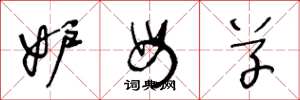 王冬龄妒母草草书怎么写