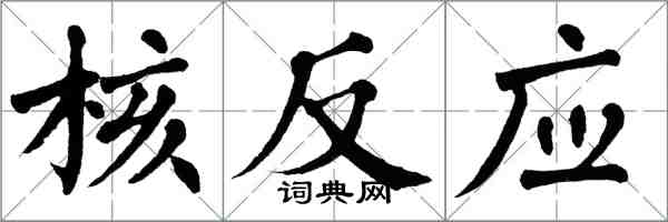 翁闿运核反应楷书怎么写