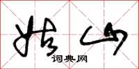 王冬龄姑山草书怎么写