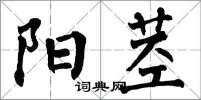 翁闿运阳茎楷书怎么写