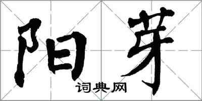 翁闿运阳芽楷书怎么写