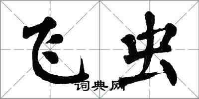 翁闿运飞虫楷书怎么写