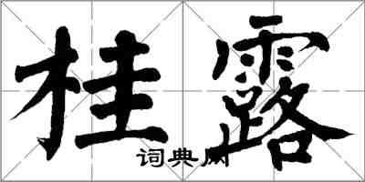翁闿运桂露楷书怎么写