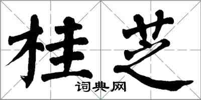 翁闿运桂芝楷书怎么写