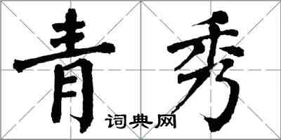 翁闿运青秀楷书怎么写