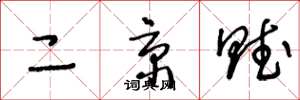 王冬龄二京赋草书怎么写