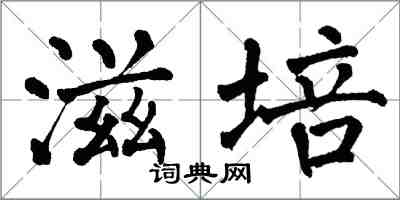 翁闿运滋培楷书怎么写
