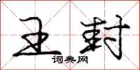 庞中华王封行书怎么写