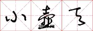 王冬龄小壶天草书怎么写