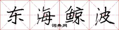 袁强东海鲸波楷书怎么写