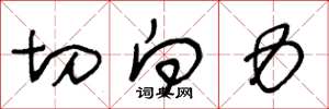 王冬龄切向力草书怎么写