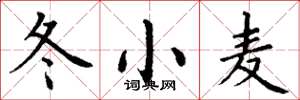 丁谦冬小麦楷书怎么写