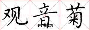 丁谦观音菊楷书怎么写