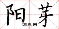 丁谦阳芽楷书怎么写
