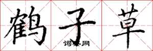 丁谦鹤子草楷书怎么写