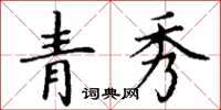 丁谦青秀楷书怎么写