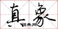 曾庆福真象行书怎么写