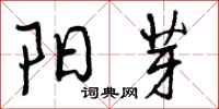 曾庆福阳芽行书怎么写