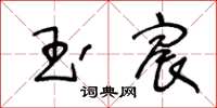 王冬龄玉宸草书怎么写