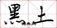 曾庆福黑土行书怎么写