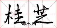 曾庆福桂芝行书怎么写