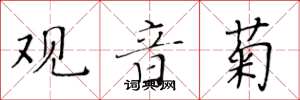 黄华生观音菊楷书怎么写
