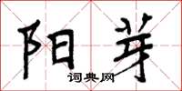 周炳元阳芽楷书怎么写
