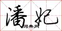 荆霄鹏潘妃行书怎么写
