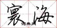 荆霄鹏寰海行书怎么写