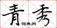 周炳元青秀楷书怎么写