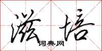 田英章滋培行书怎么写